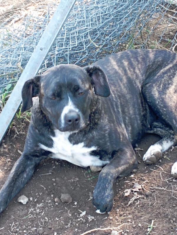 Gemma e Giada sorelline vivaci e allegrotte Foto 7